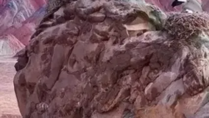 فیلم از قلعه لک لک ها و کوه های رنگی ماهنشان زنجان