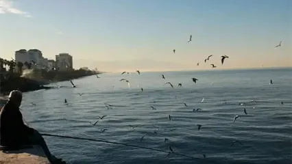 ساحل محبوب چالوس دیگر به دریا نمی‌رسد!