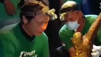 نجات مورچه‌خوار پولک‌دار از آتش‌سوزی‌های جنگلی