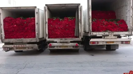 مهریه عجیب یک زوج عاشق که هنگام طلاق تمام و کمال پرداخت شد!
