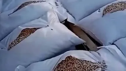 رفتار عجیب گمرک ترکیه با بار ایرانی‌ها در مرز