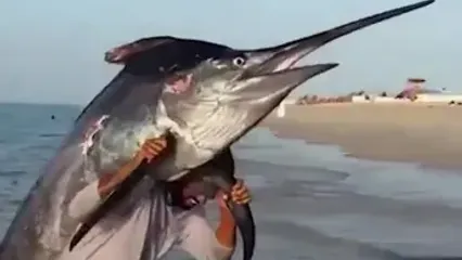 ماهیگیر عمانی صید غول‌پیکرش را بر دوش حمل کرد