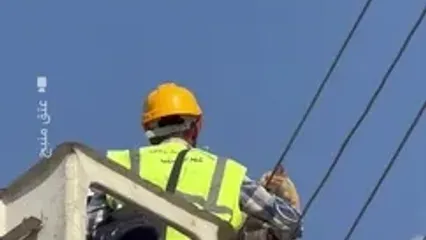 گربه سرسخت کمک امدادگران را رد کرد