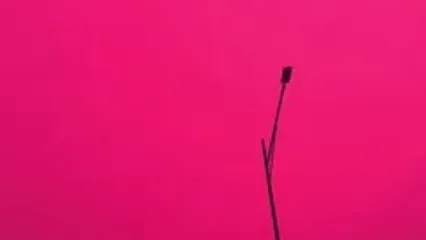 آسمان شهر هانگژو در چین به رنگ صورتی مایل به قرمز درآمد