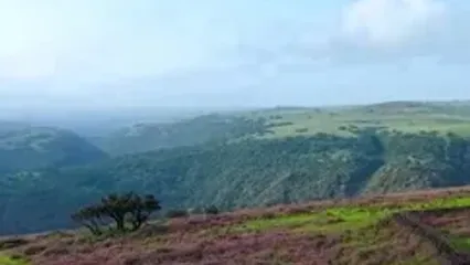 طبیعت چشم‌نواز منطقه ظفار عمان