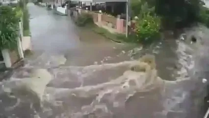 سیل طی یک دقیقه روستای تایلندی را زیر آب فرو برد