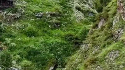 فیلم از منظره زیبا در توشتی گرجستان