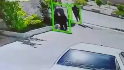 فیلم لحظه حمله 2 موتورسوار به یک زن در داراب/طلاهایش را به سرقت بردند