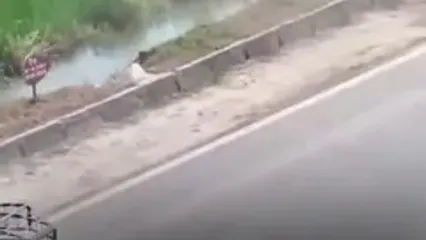 رونمایی از اسکیت‌بورد پرنده در چین