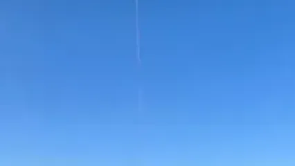 نجات اسب گرفتار در برکه با هلیکوپتر