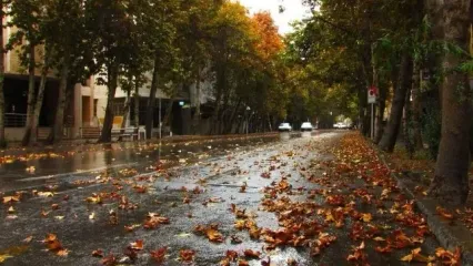 فیلم زیباترین جاده ایران در پاییز / فصل سرخ پایتخت زرشک ایران