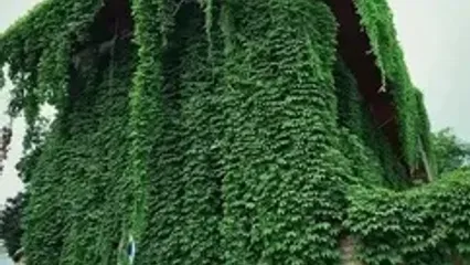 نمای زیبا از بافت قدیمی گرگان