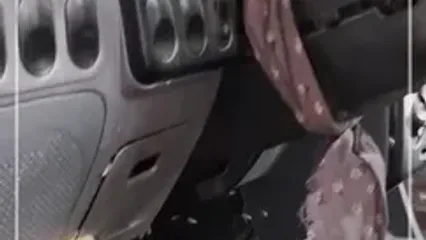 پرایدی که کندوی عسل شد