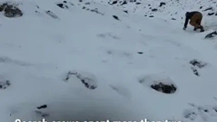 معجزه در یخبندان آلاسکا؛ نجات پس از ۵۰ ساعت تنهایی