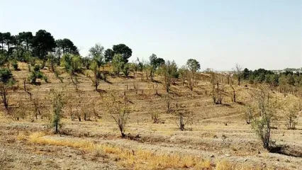 عذرخواهی تلخ از مردم برای فاجعه این روزهای تهران