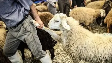 خلاقیت خنده‌دار چوپان برای رقابت با هادی چوپان سوژه شد؛ هنر نزد ایرانیان است و بس!