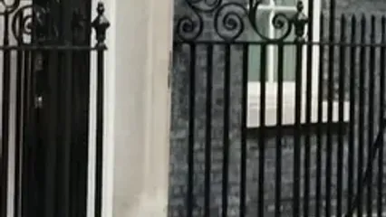 گربه مشهور با جای زخم ظاهر شد
