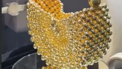 رونمایی از کیف ۱۲.۵ میلیارد تومانی در ترکیه!