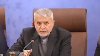 وزیر میراث فرهنگی: بیش از ۲۵۰۰ پرونده حفاری غیرمجاز در قوه قضاییه تشکیل شد/ حفاظت از آثار تاریخی باید مردمی شود