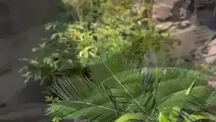 حس خوب بازار لاهیجان را در این فیلم ببینید!