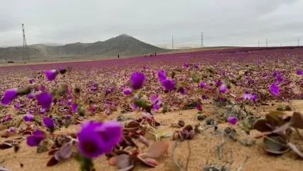 خشک ترین نقطه زمین گلستان شد