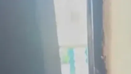 چند نفر خانه نقی معمولی را اجاره کردند و «پایتخت» تماشا می‌کنند