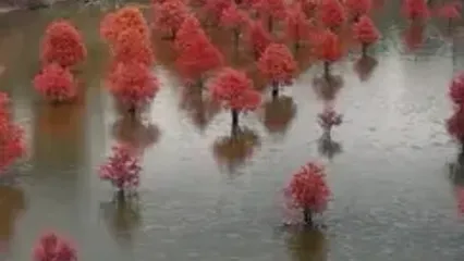 دریاچه الندان ساری