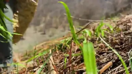 غذای روستایی در آذربایجان؛ پخت مرغ در ظروف شیشه ای در کوهستان