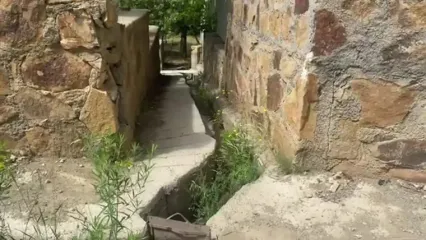 غذای روستایی در ایران؛ پخت عدس پلو در روستایی کوهستانی